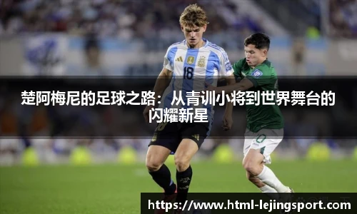 乐竞体育官网登录入口